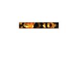 Pen Blank Acrylic schwarz bronze